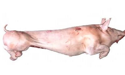 WHOLE PIG 31-35kg